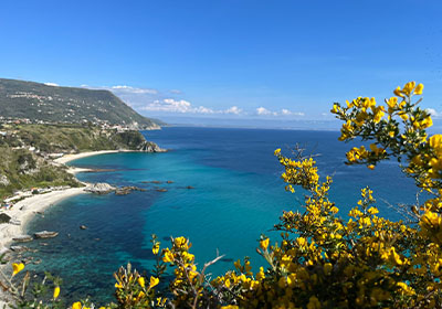 Residence Villaggio Smedile Capo Vaticano